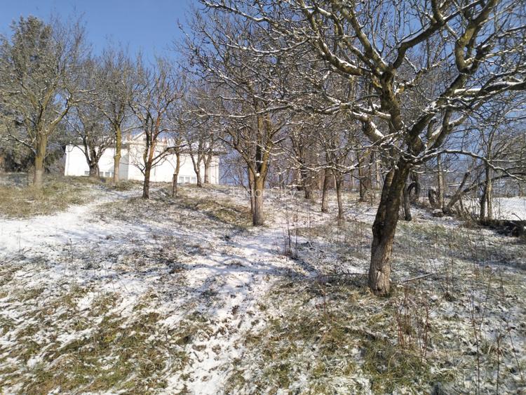 Moșia boierească din vârf de deal, Scorțeni - Prahova, comision 0% - 4