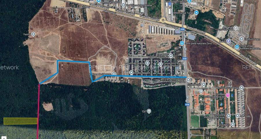 Raritate absolută: Teren 20.000 mp în inima Padurii Băneasa - 4