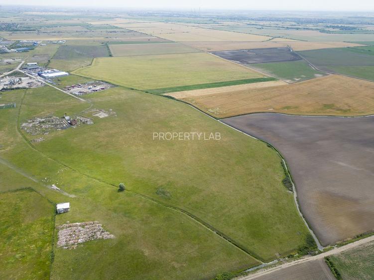 Teren intravilan de 29,970mp Sacalaz - 19