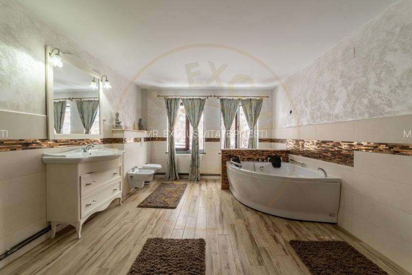 Casa spatioasa cu 6 camere si teren generos, langa padure - Valea Ursului/Arges - 3