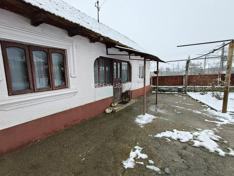 Proprietate rară – 2 case + livadă, vie și teren generos, la 20 km de Târgu Jiu - 7