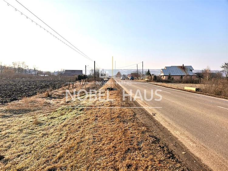 Teren intravilan 1041 mp, Grivita, pentru constructii - 4