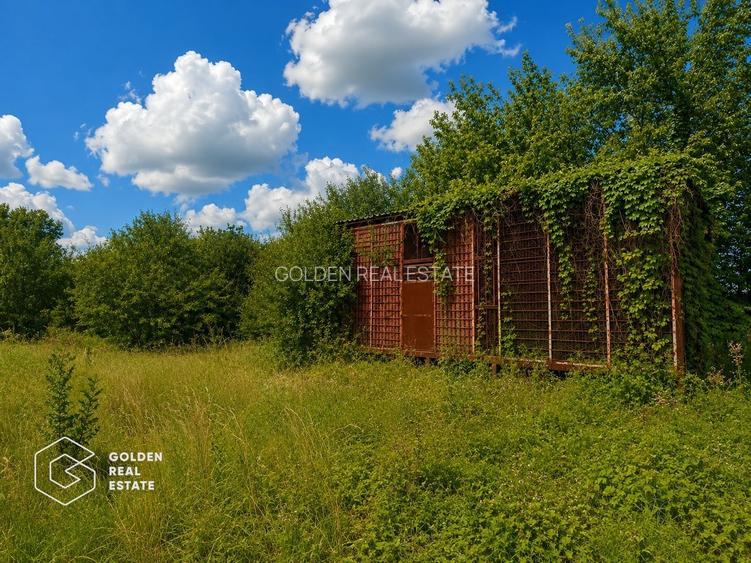 Casa traditionala cu teren 3.086 mp,  Căpruța, Arad - 12