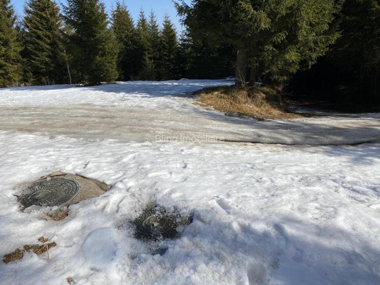 Teren 5000 mp in Baisoara, langa pensiunea Skiland si cabana Merlin! - 2