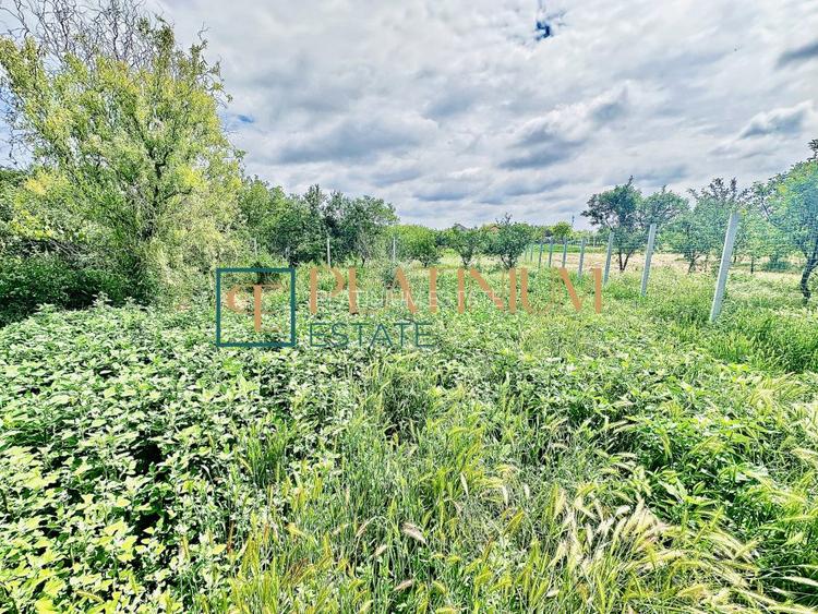 P4504 Casa cu 5 camere in Becicherecu Mic teren 961 mp ASFALT - 16