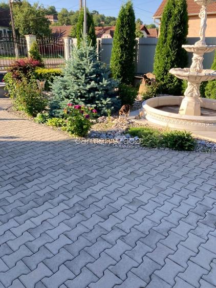 Proprietate super cu  încălzire în pardoseală  cu două case pe curte mare cu 270 - 2