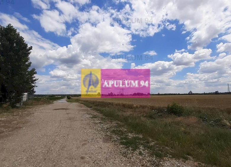 Teren 715mp în Snagov lângă Equestria - 22