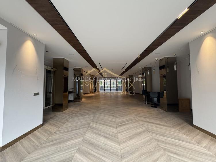 Spațiu Comercial de Lux – Kiseleff *376mp - 3