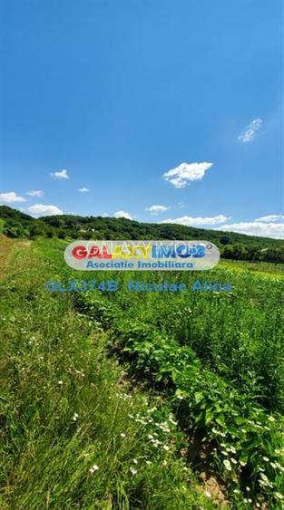 Teren intravilan comuna Bogati sat Birloi Jud. Arges - 8