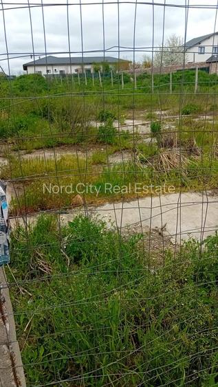 Teren Tanganu - Cernica - 2