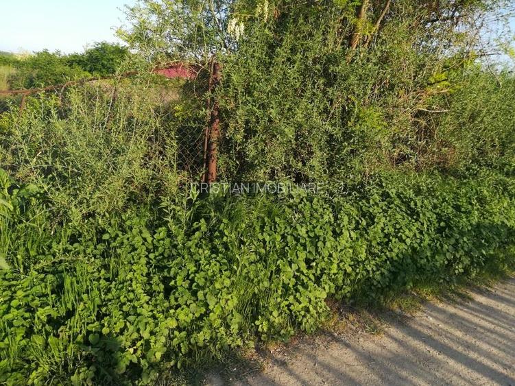 Teren intravilan de constructii, Chiscani, St - 2200 mp, deschidere 50 m - 4