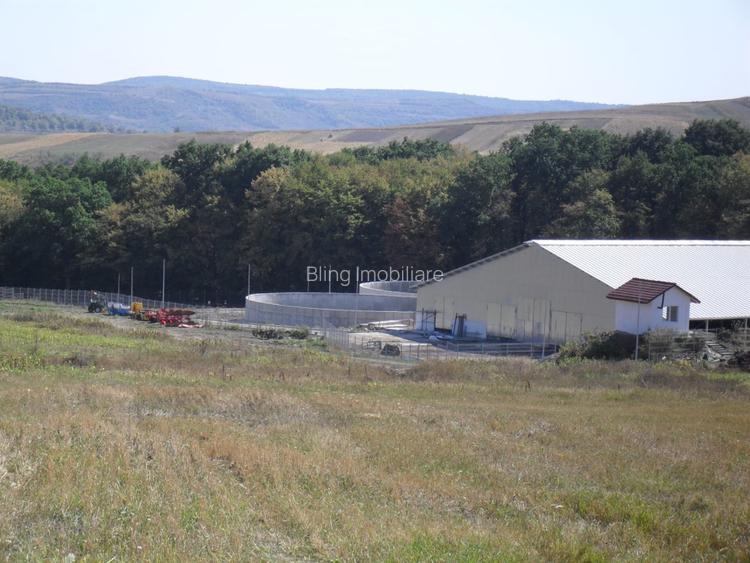 Ferma Zootehnica la standarde Europene - 11