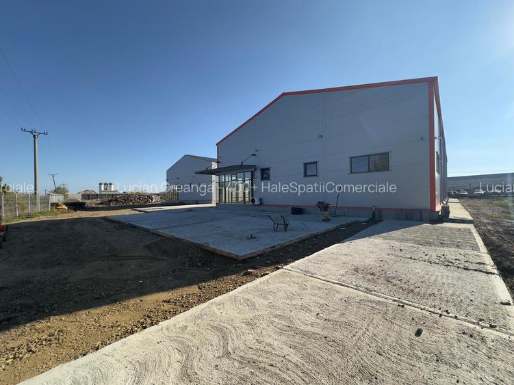 Hala de la 583mp la 1166, Letcani, aproape de Metro - 11