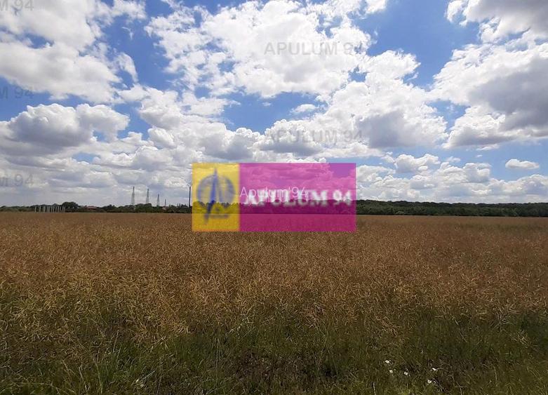 Teren 715mp în Snagov lângă Equestria - 37