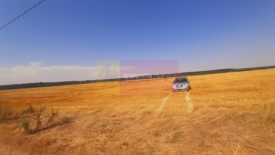 Teren pentru casă/case în Brănești pe strada Toporași - 7