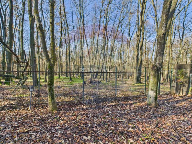 De vanzare | Vila in Paradisul Verde cu gradina si padure proprie | - 22