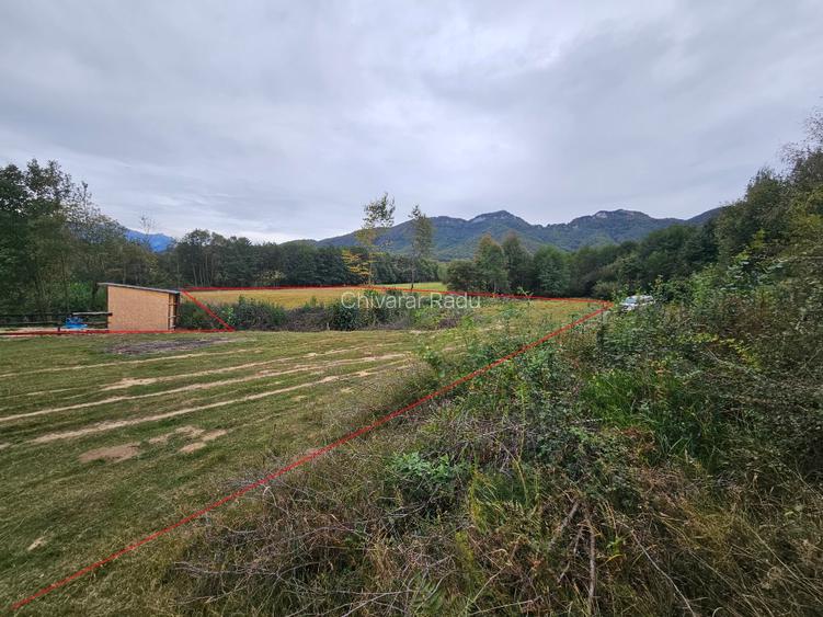 Teren Tohanita-Zarnesti 5000 mp - 4