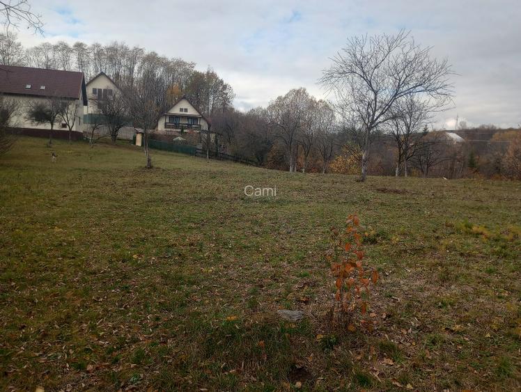 Vând teren intravilan 4062 mp - 11