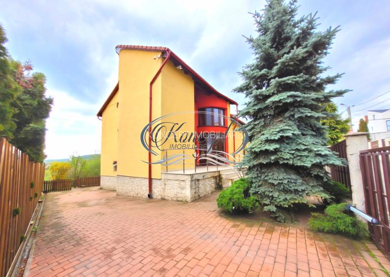 Proprietate eleganta cu gradina generoasa si acces facil Europa - 4