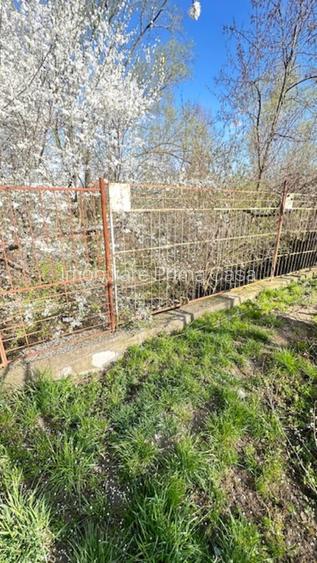 LAPUSEL, teren intravilan cu proiect casa  si teren de aprox,10ari! - 4