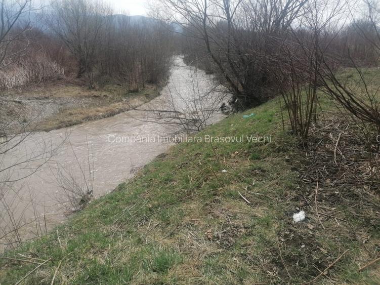 Ghimbav, teren intravilan pentru complex rezidential. - 6