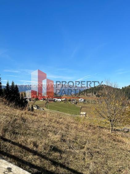 Teren Fundatica intravilan 4500 mp - 6