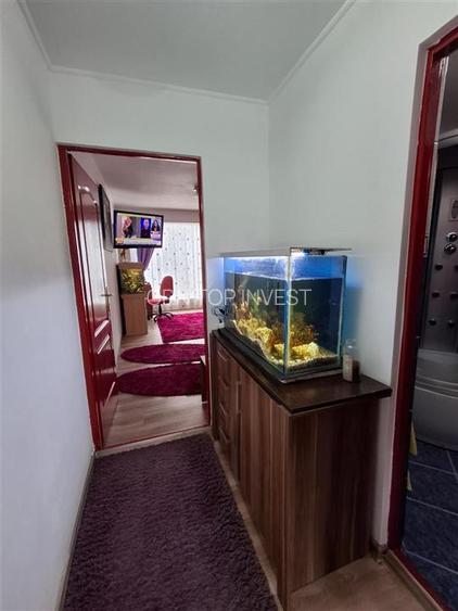 Apartament cu o camera 50mp gradina parcare zona Terezian - 4