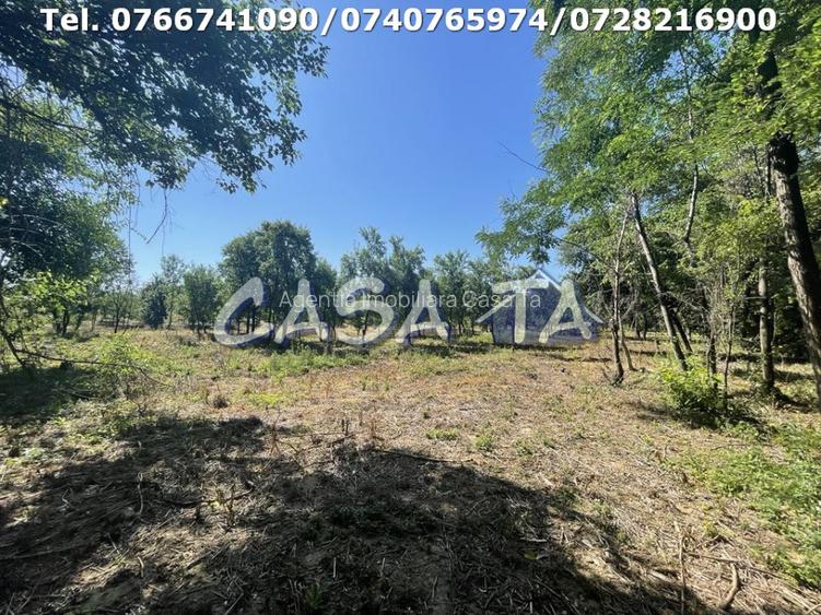 Casa 4 Camere, Parter, Runcu - Baltisoara - 20