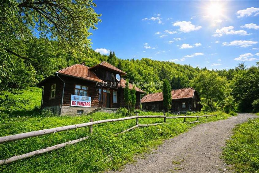 FILM! Proprietate autentica, Bran-Simon, 4.300 mp teren, casa traditionala + ane - 4