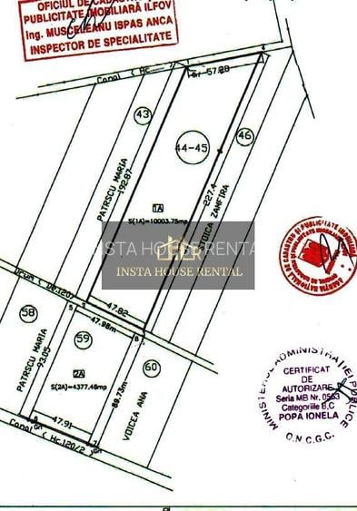🔹Teren 10000 mp Odai / Otopeni /🔹 - 3