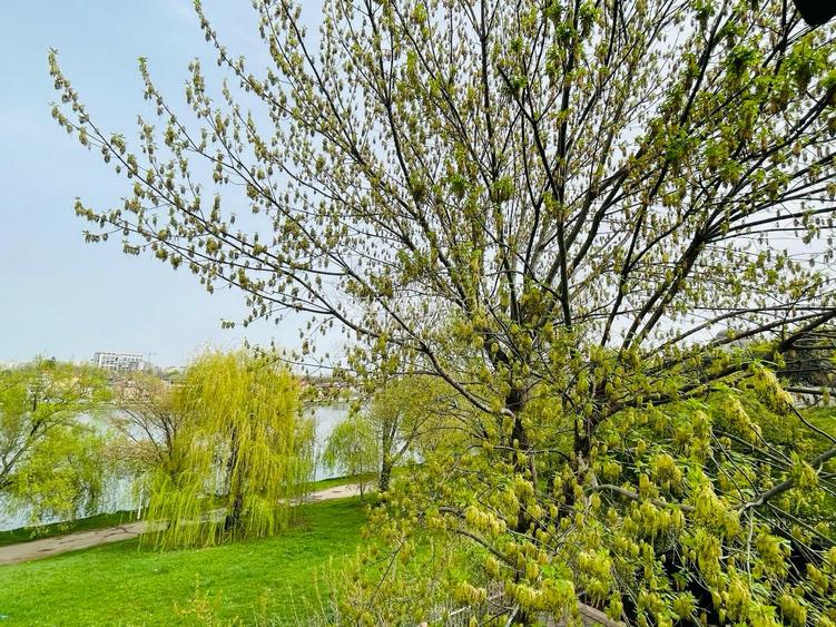 Apartament 2 camere imobil boutique-zona Tei- cu vedere la lac/parc - 19