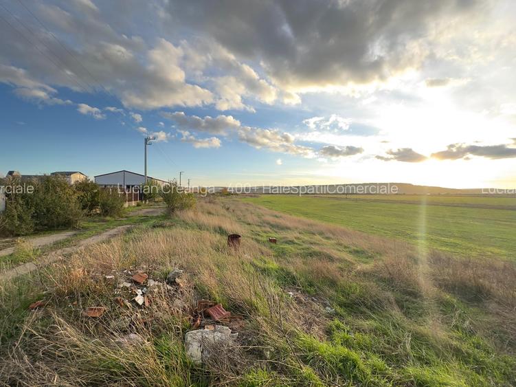 Teren si proiect, 15813mp, fata Skoda - 5