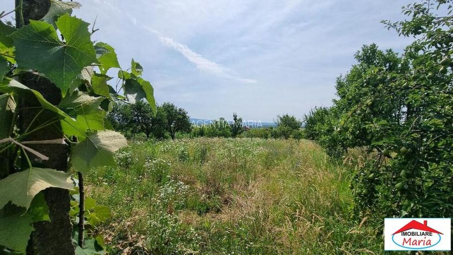 Casa in Viile Satu Mare cu teren mare 55000 Euro - 6