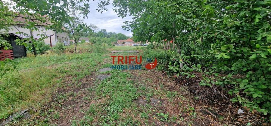 Oportunitate de Investiție: Teren 24000mp Intravilan Construibil în Ga