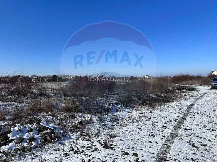 Teren intravilan 500mp, langa lac, acces drum principal - Corbeanca - 2