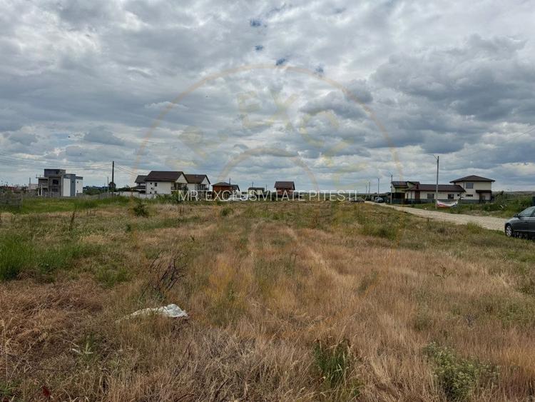 Teren 10.000 mp - Str. Octavian Goga, Craiovei! - 3