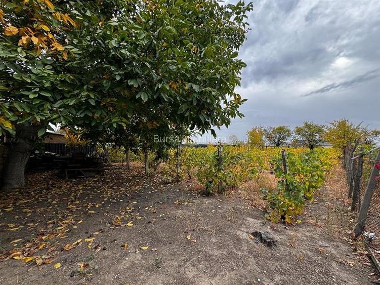 CASA DE VANZARE ODOBESTI (ZONA DE VILE) - 8