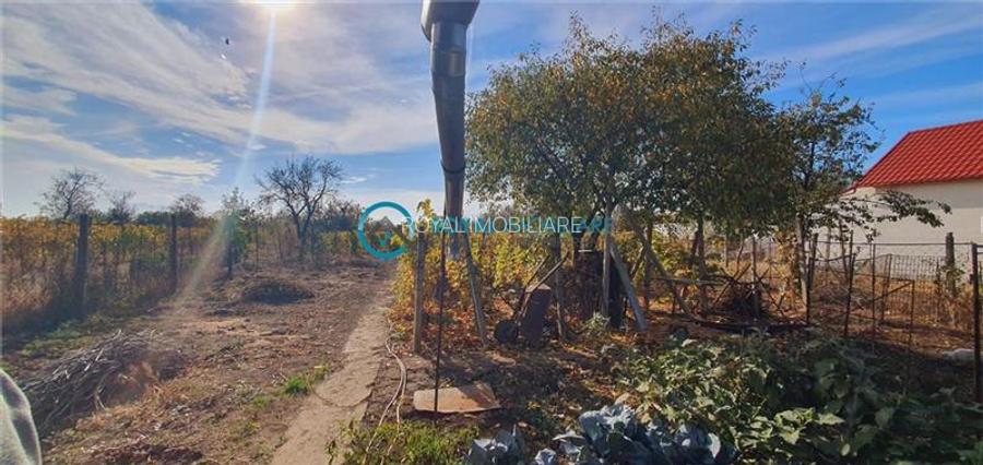 Royal Imobiliare-Vanzare Vila-Valea Calugareasca - 5