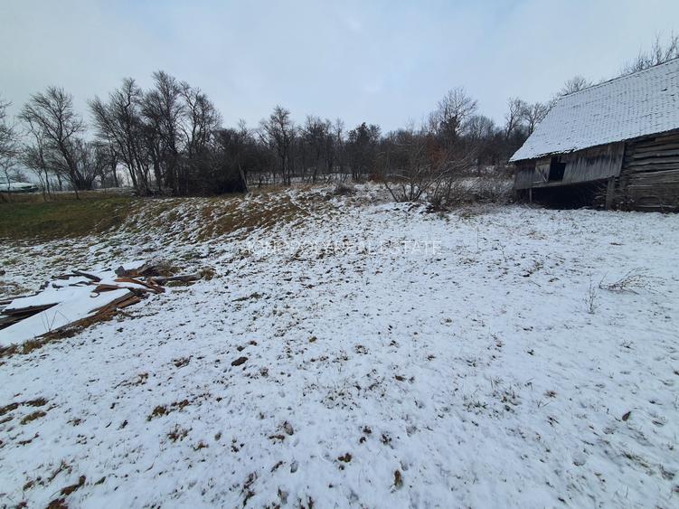 Casa singur în curte - 3