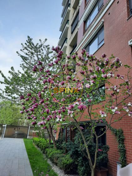 Emerald Residence, vedere lac, 4 camere, pet friendly, 2 locuri parcare, boxa - 31