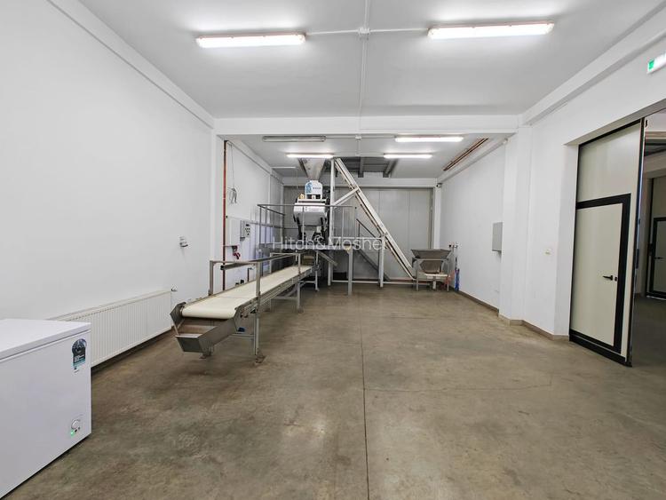 Hala + Spatii de birouri - 1500 mp - zona Freidorf - Comision 0% - 7