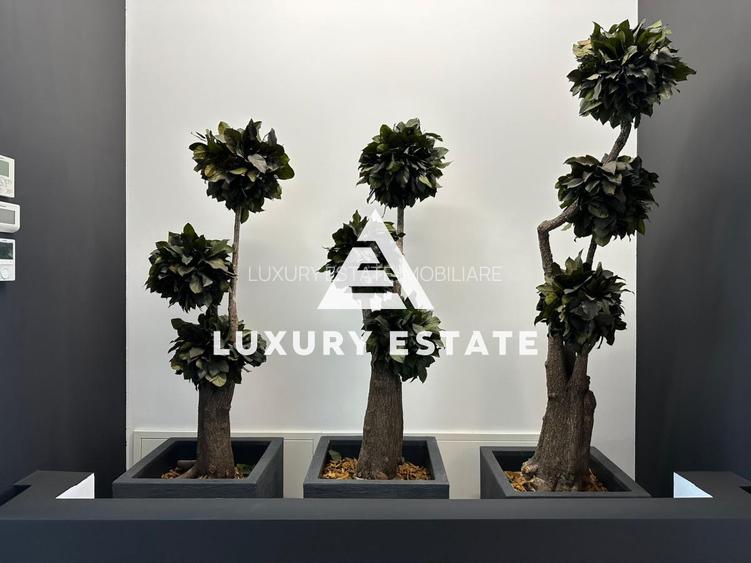 Inchiriere penthouse mobilat- Herastrau- Baneasa- design unic-view spectaculos - 43