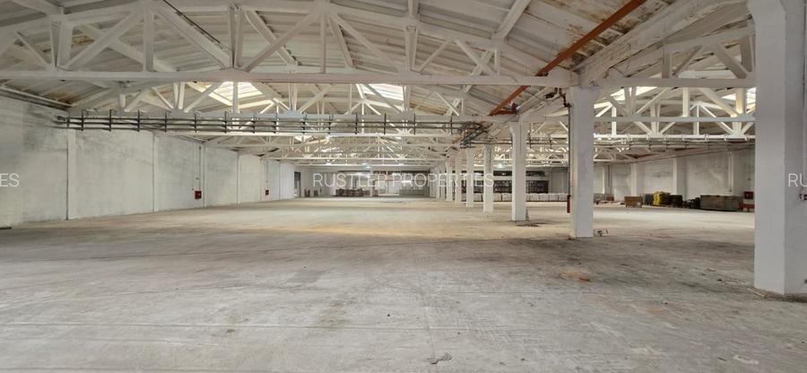 Hala de inchiriat Braila - 6