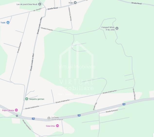 Teren intravilan de constructii - 250 mp - Daia Noua - 3