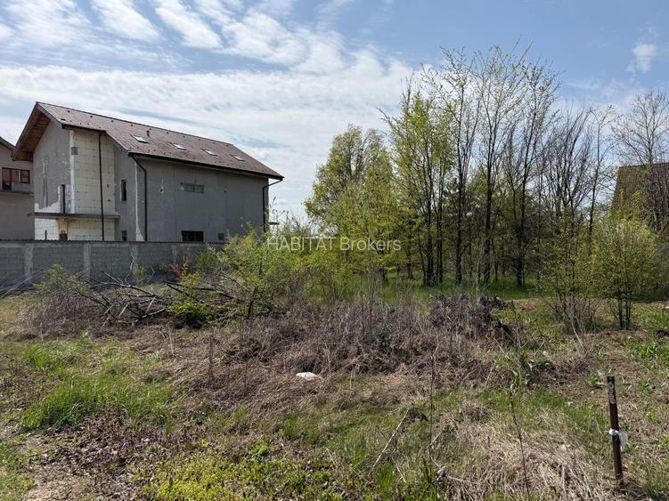 Teren 590 mp | Corbeanca, str Laguna Albastra - 4