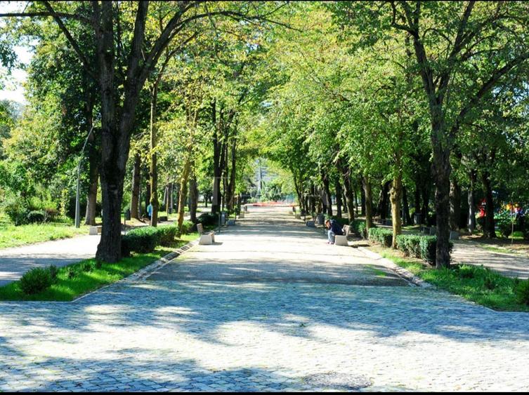 Exclusivitate. Apartament decomandat, Pacul Babes. - 2