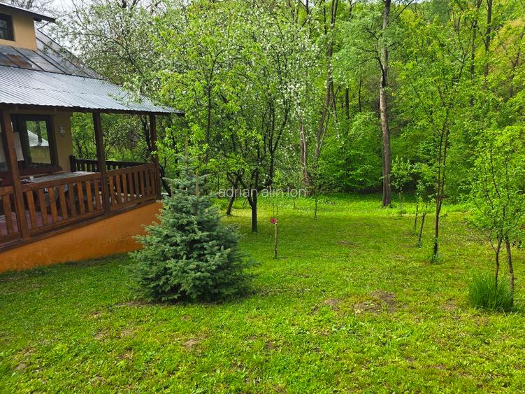 Casă de vancata lângă râu- Provița de Jos - 15