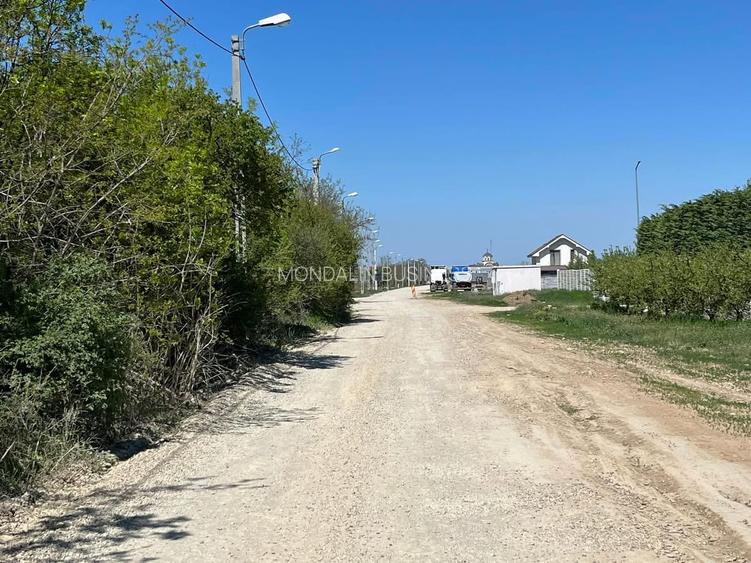 Teren extravilan 4500 MP, cu PUZ, Grigorescu , Oradea. - 5