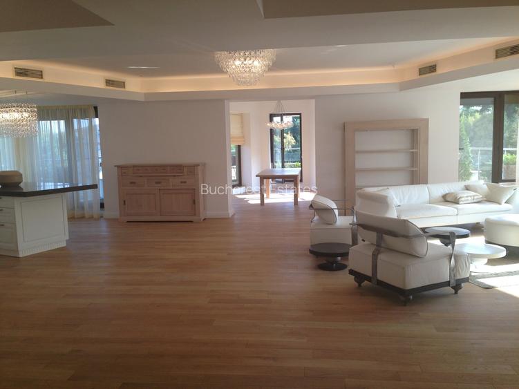 Apt cu vedere directa Herastrau 3 dormitoare - 2