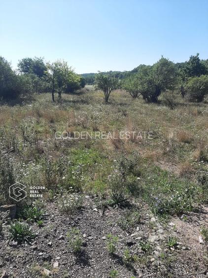 Terenuri 1300 mp, Lipova - 2